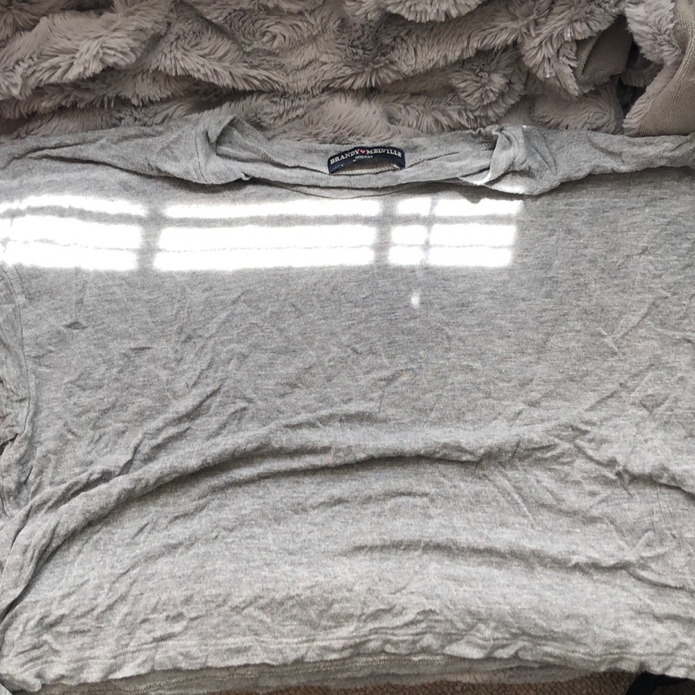 Brandy Melville Crop Top